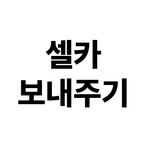 아이템 이미지