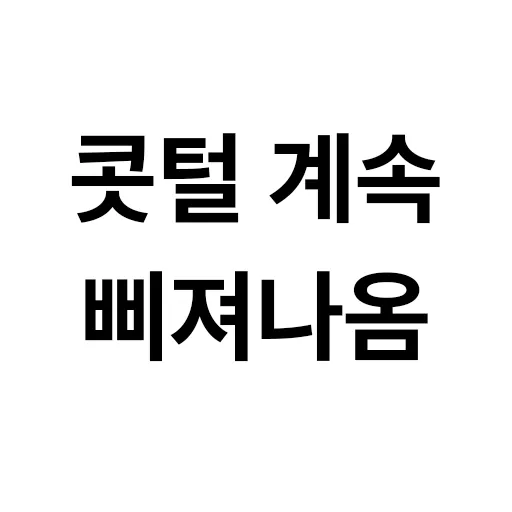 아이템 이미지