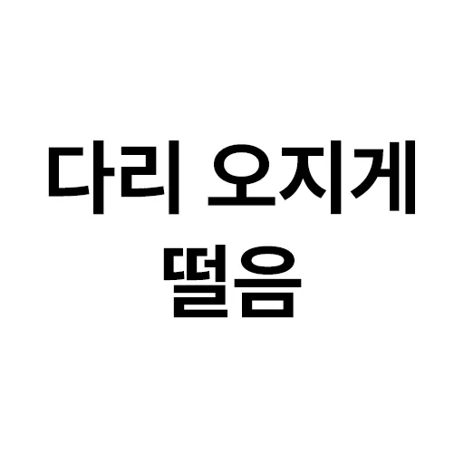 아이템 이미지