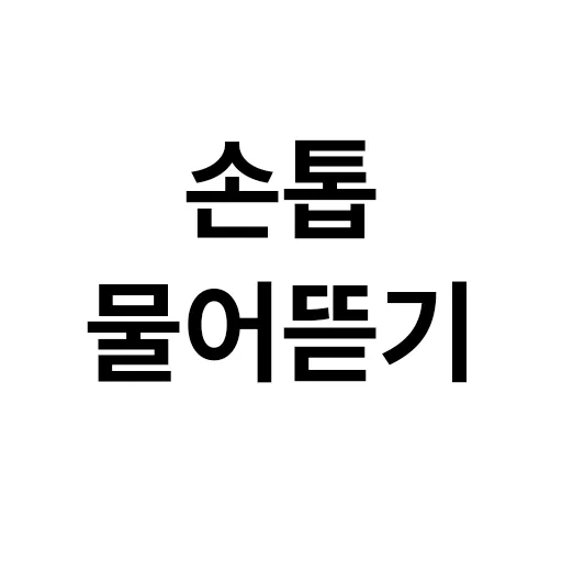 아이템 이미지