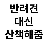 아이템 이미지